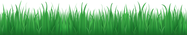 grass